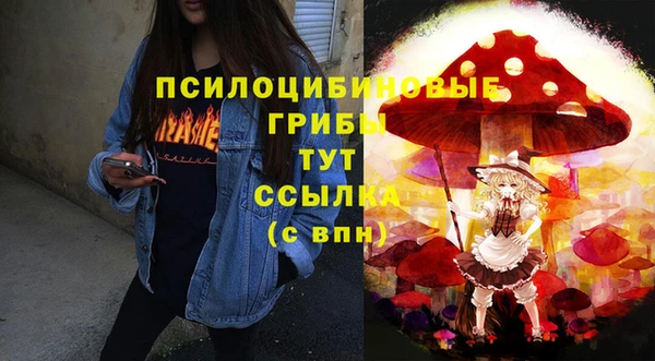 spice Нея