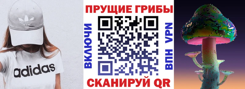 Галлюциногенные грибы Psilocybe  Купить  Кяхта 